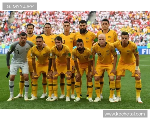 葡萄牙与乌克兰在线直播赛事分析及精彩回顾