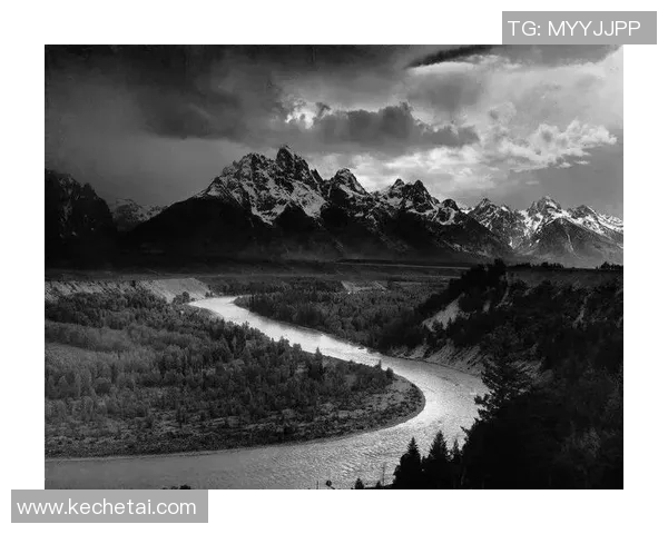 亚当斯的传奇人生与影响力探讨：从科学到文化的多重视角