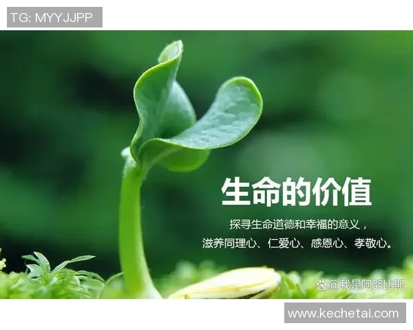 景菡一的成长之路与追梦旅程探寻人生的意义与价值