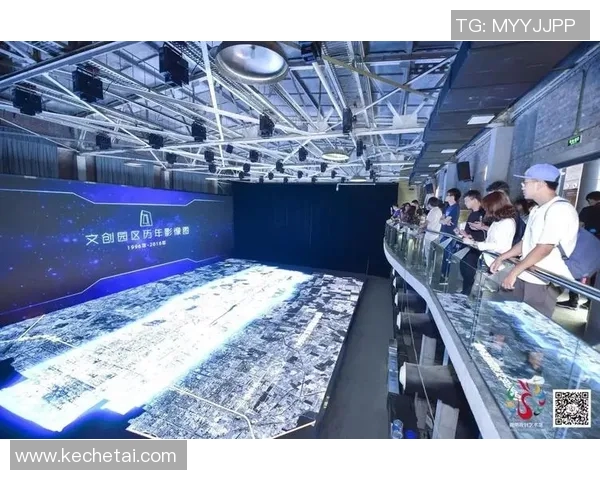 南京羽毛球队转型之路的挑战与机遇探讨特别报道