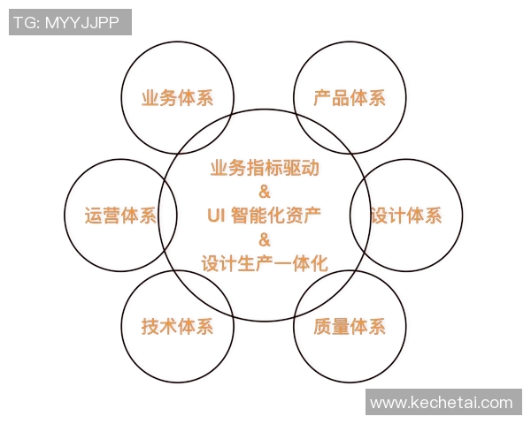 杭州排球队的奋斗与荣耀：城市联赛中的崛起之路与未来展望