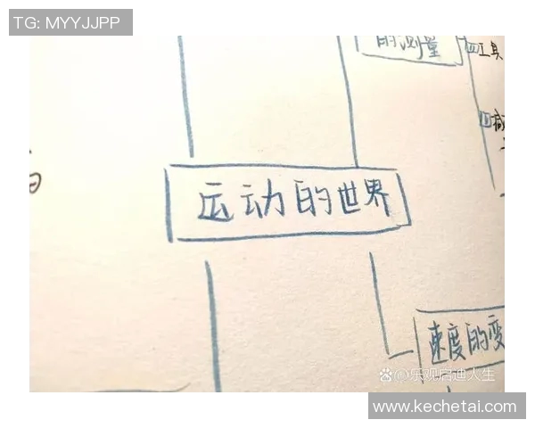 飞盘与梦想的交汇点吴静的运动人生与深度对话MBA